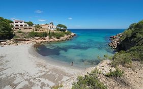 Tros Sevineta